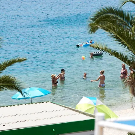 Balote * 트로기르